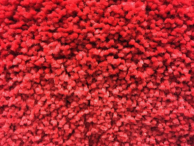 Illustration for article titled How to Add a Number of Years to the Lifespan Associated with Your Home's Carpeting